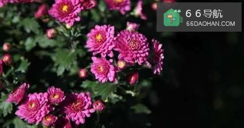 12句恋爱禁忌话语 千万别对你男友说