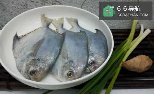 【清蒸鲳鱼】简单做法