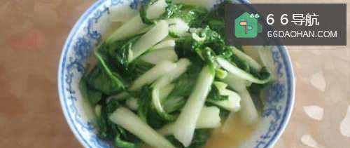 蚝油青菜的做法