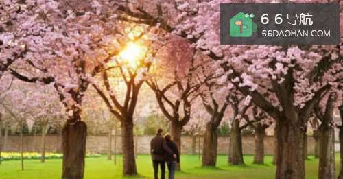 如何正确面对爱情