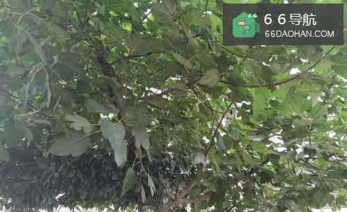 女生追直男的正确方法