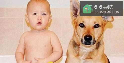 职场攻略:成大事的,大抵离不开这8样!