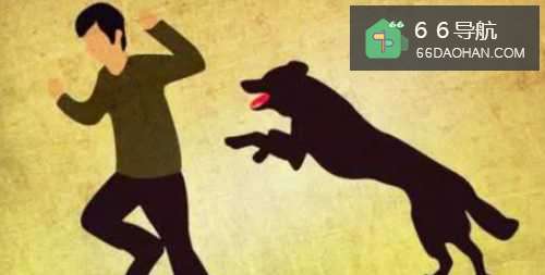 出门被狗狗追赶应该怎么办?