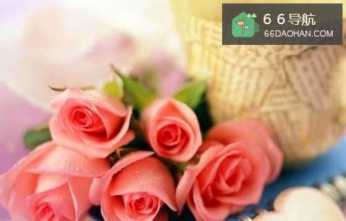 夫妻之间应该如何做才能增进感情