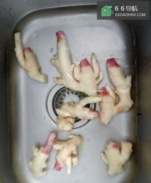 怎么做麻辣仔姜炒瘦肉最好吃（家常菜）？