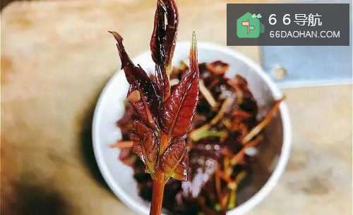 怎样做出家常菜系列之香椿拌豆腐