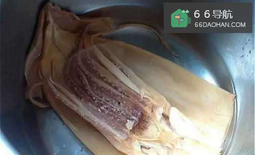 怎样做出家常菜系列之沙茶鱿鱼羹