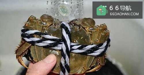 【清蒸大闸蟹】简单做法