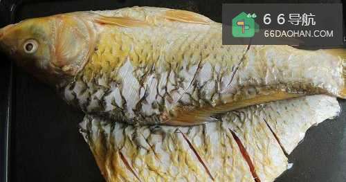 【烤鲤鱼】简单做法