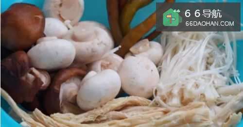 酸辣腐竹菌菇煲,酸辣可口又开胃,还是减肥佳肴