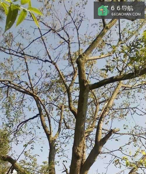 即将进入职场的你应如何应对面试