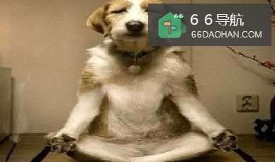 女朋友/老婆生气了怎么哄