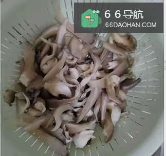 炒蘑菇的做法