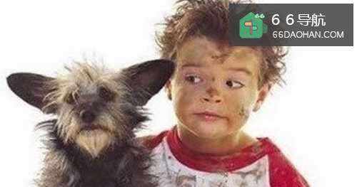 孩子有虐待小动物的行为怎么办