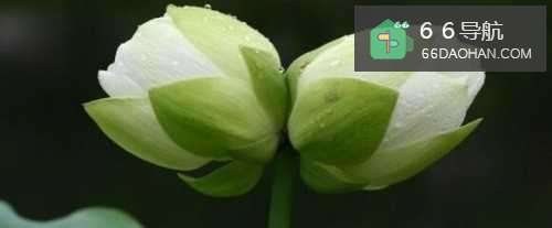 潘多拉的幸福,相处四部曲第二回