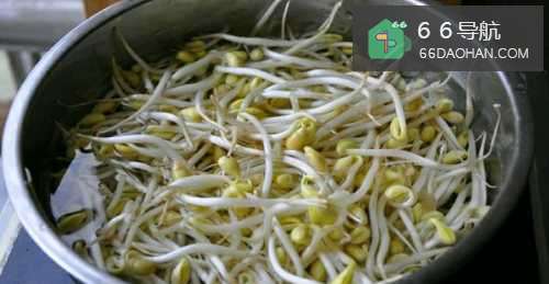 冬日必备——豆芽炖粉条