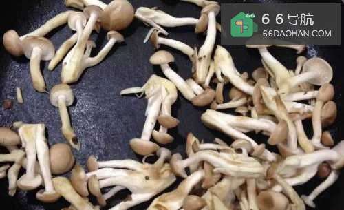 怎样做出家常菜系列之咖喱海鲜汤