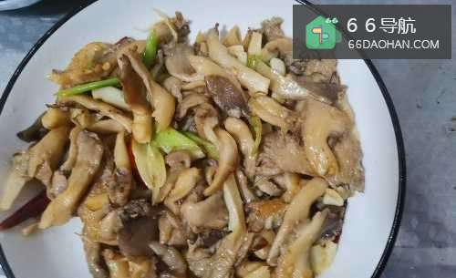 素炒平菇的家常做法