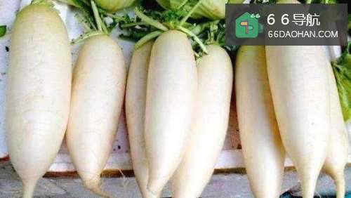 白萝卜炖鸡汤的做法