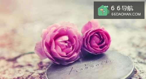 女生在恋爱中要注意什么?