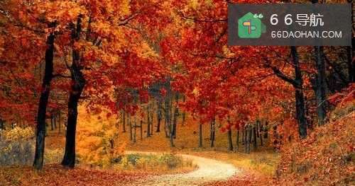 适合发朋友圈的文案