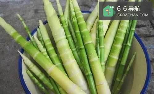 竹笋的吃法都有哪些呢？