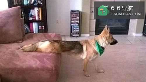 真正的成功,总是属于那些善于独立思考的人!