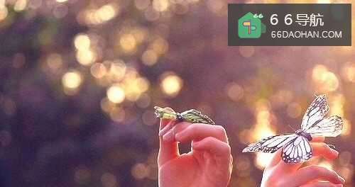 怎样维护长期恋爱关系