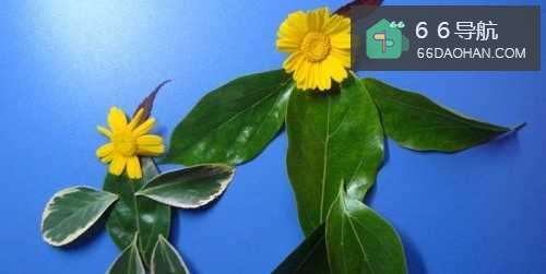 植物拼装画之母女散步