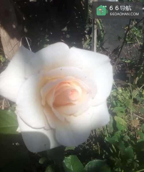 如何学会去感恩 怎么去感恩