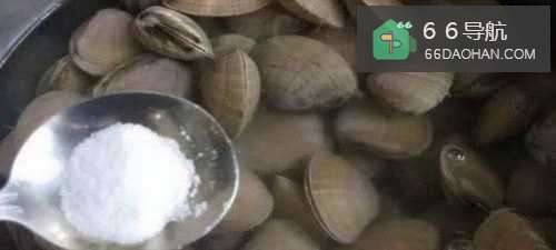 家常韭菜蛤蜊汤的做法