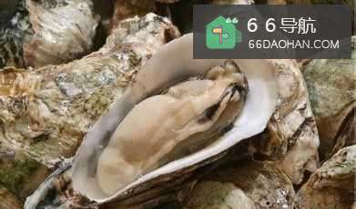 怎么样提高生育可以力？