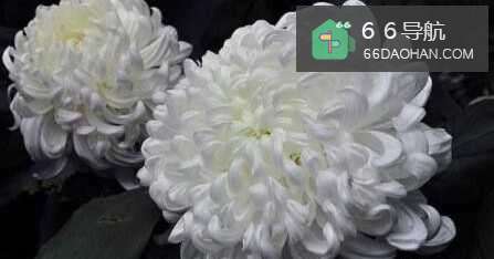 朋友家人去世怎么安慰