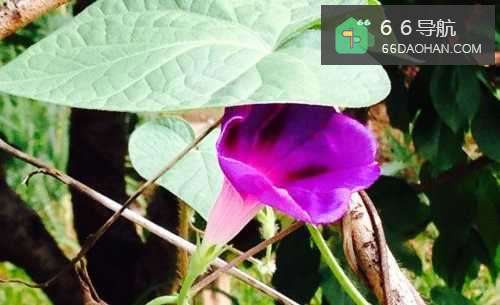 女生对自己喜欢的男生会有哪些表现呢？