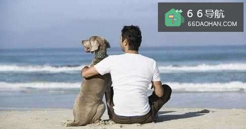 要怎么跟女生要微信呢