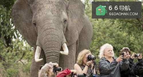 不知道与领导相处的尺度如何把握？试试这几招！