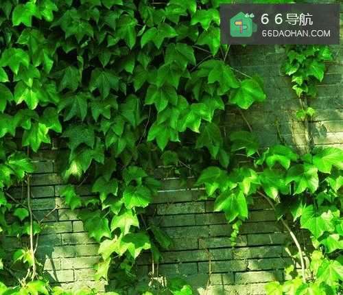 怎么样让你生气你时候不发火