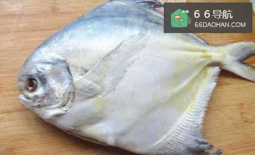 【清蒸金鲳鱼】简单做法