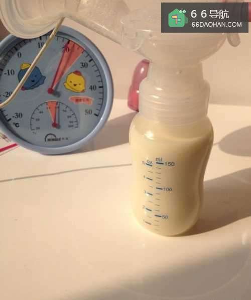 职场孕妈存奶必备