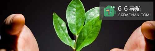 没有女朋友的男生都是哪几种类型