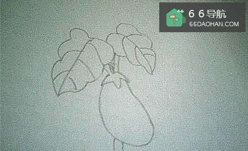 简笔画大绿茄子这样画