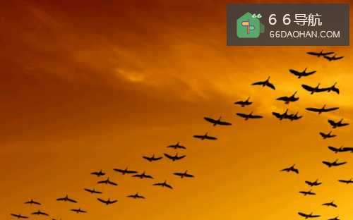 怕说话不擅表达?教你9招让你脸皮快速厚起来!