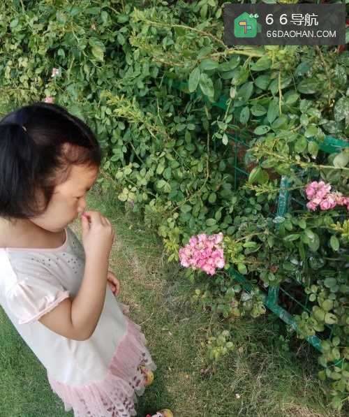 孩子失败的时候父母应该怎么样处理