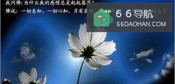 怎么提高恋爱成功率