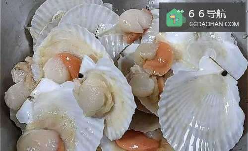 怎么样处理避风塘扇贝