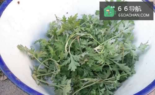 怎样制作带有春天味道的艾叶粑粑？