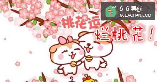 烂桃花成群的星座，不是赶不走就是想同时拥有