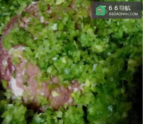 鲜肉包子馅的家常做法