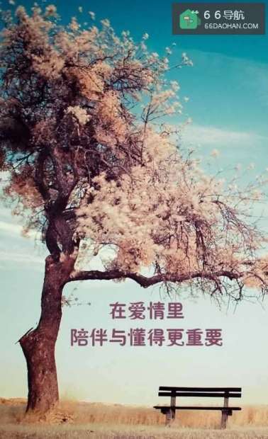 好男人都去哪了？