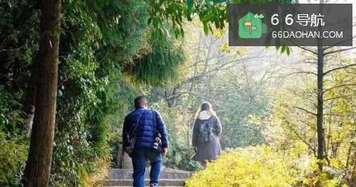 结婚以后夫妻之间的感情变淡了怎么处理？